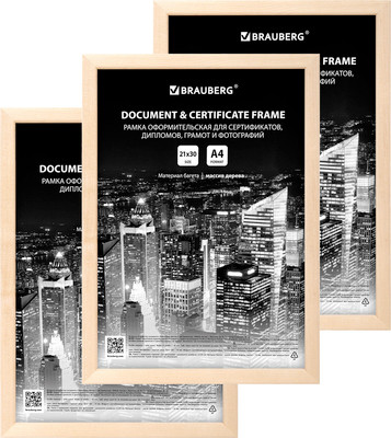 Набор рамок Brauberg 391357 (3шт)