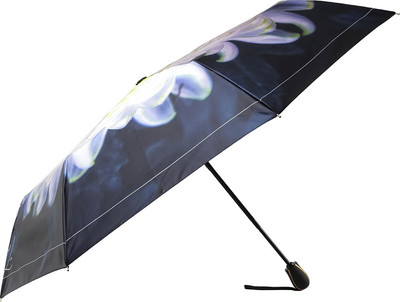 Зонт складной Fabretti UFS0059-7