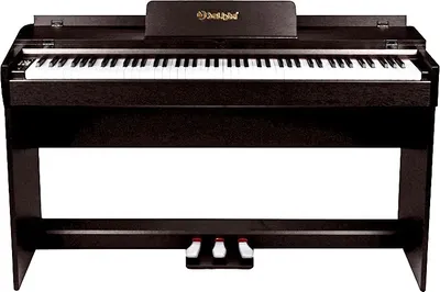 Цифровое фортепиано Solista DP600RW