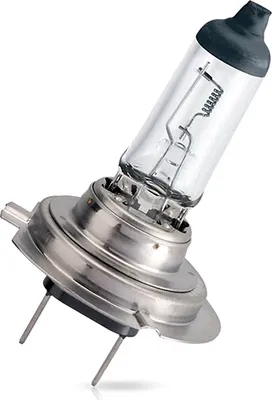 Автомобильная лампа Philips 13972MLC1