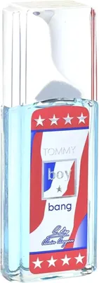 Туалетная вода Positive Parfum Tommy Boy Bang (95мл)