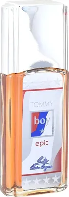 Туалетная вода Positive Parfum Tommy Boy Epic (95мл)