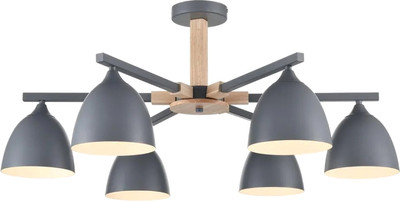 Люстра Lumion Colange 8096/6C