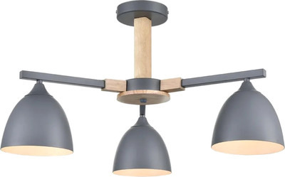 Люстра Lumion Colange 8096/3C