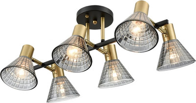 Люстра Lumion Anriya 8044/6C