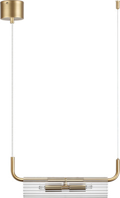 Потолочный светильник Lumion Toronto 6560/2