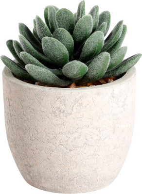 Искусственное растение Eglo Chitose 428011 (пластик, коричневый/зеленый)