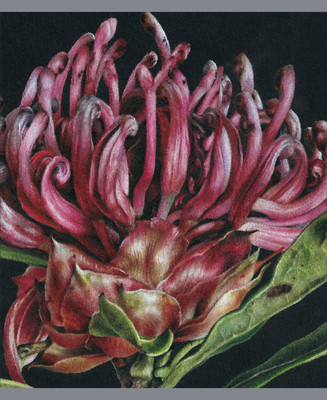 Тетрадь Listoff Nature drawing / ТКЛ968791