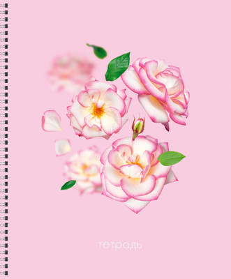 Тетрадь Listoff Невесомость / ТС968806