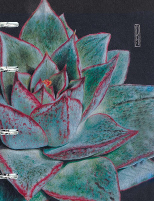 Тетрадь Listoff Art line. 8 / ПБИ1205102