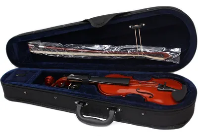 Скрипка Aileen VG-106 1/8 со смычком в футляре (натуральная)