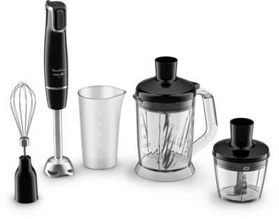 Блендер погружной Moulinex DD94L810