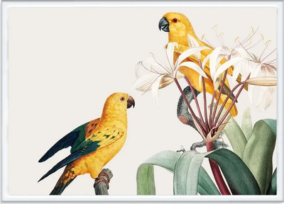 Постер Citydecor Попугайчики 9 (21x30)