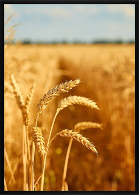 Постер Citydecor Природа 7 (21x30)