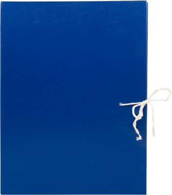 Коробка архивная Silwerhof КБЗ-4-150P