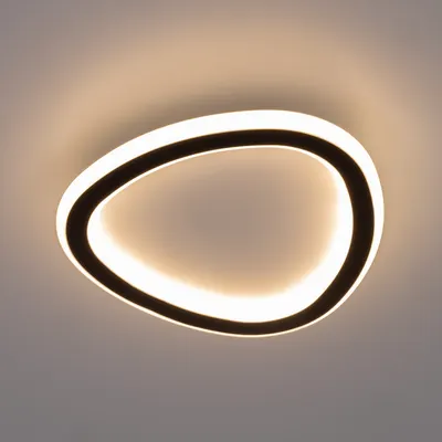 Потолочный светильник Citilux Trio CL215B221
