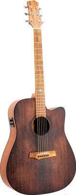 Акустическая гитара Randon RGI-10 VT-CE
