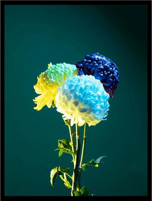 Постер Citydecor Цветы 11 (30x40)