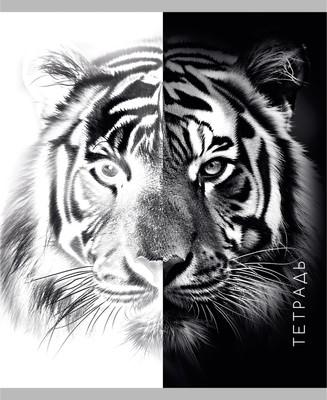 Тетрадь Listoff Черно-белое / Т2Л969147