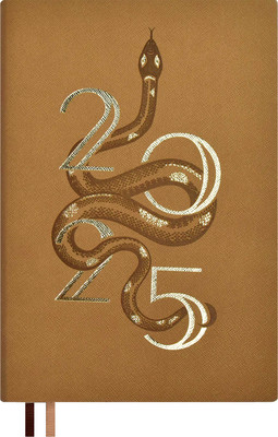 Ежедневник Escalada Илон Маск. Кассандра 2025 / 67004 (176л, бежевый)