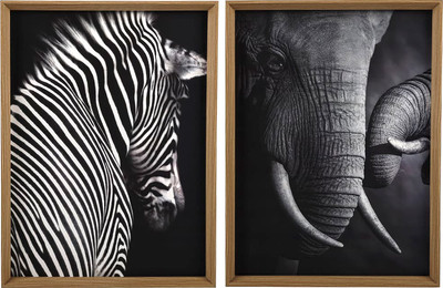 Картины Вещицы Сафари Sof-12 (2шт, черный)