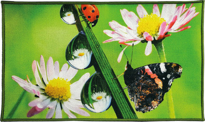 Коврик для ванной Shahintex Fantasy Icarpet 50x80 006 / 451698