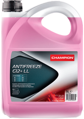 Антифриз Champion G12+ LL Концентрат /   1052667 (5л)