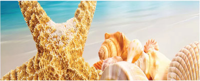 Шторка под ванну JoyArty 60x150 / bt_4271