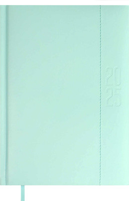 Ежедневник Escalada Илон Маск. Плонже-эконом 2025 / 66969 (176л, мятный)