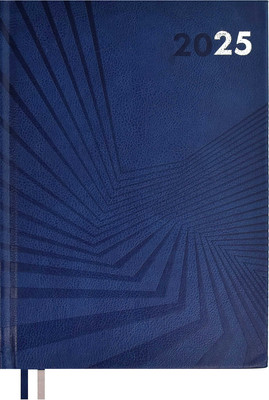 Ежедневник Escalada Илон Маск. Амальфи 2025 / 66941 (176л, синий)