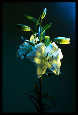 Постер Citydecor Цветы 6 (40x60)