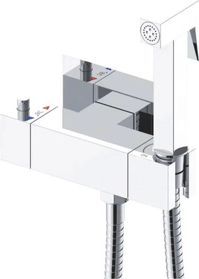 Гигиенический душ со смесителем Rose R965 (хром)
