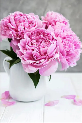 Постер Citydecor Пион 3 (40x60)