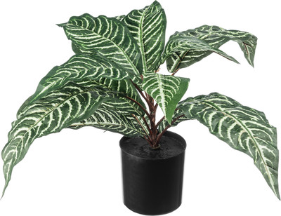 Искусственное растение Sundays Home 6405000732A