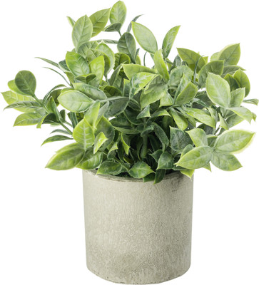 Искусственное растение Sundays Home PB05-11 / 6405000719B