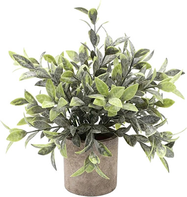 Искусственное растение Sundays Home PB05-12 / 6405000719C