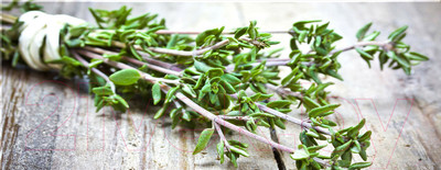 Картина на стекле Orlix Зелень пряная / GL-01056