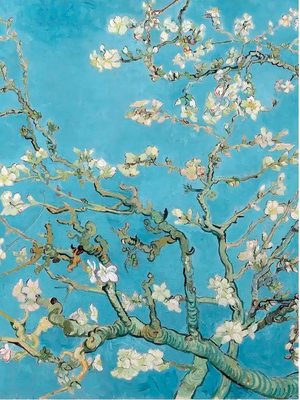 Постер Citydecor Цветущие ветки миндаля. Винсент ван Гог (40x60)