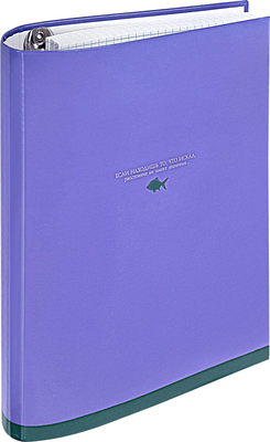 Тетрадь Brauberg Monocolor / 404716 (120л)