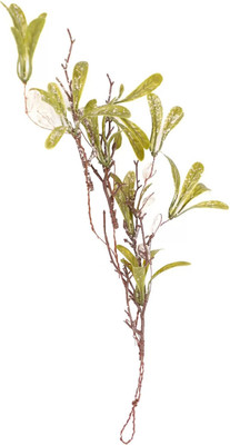 Искусственная ветка GrandSiti 94490 / L43CM