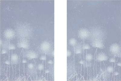 Постеры Citydecor Невесомость 19 (2шт, 40x60)