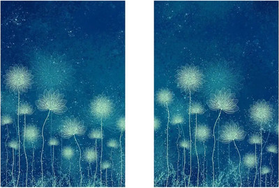 Постеры Citydecor Невесомость 17 (2шт, 40x60)