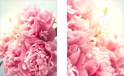 Постеры Citydecor Пионы 1 (2шт, 30x40)