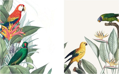 Постеры Citydecor Попугайчики 4 (2шт, 30x40)