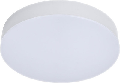 Потолочный светильник Truenergy 11152