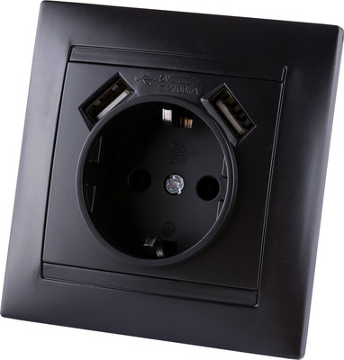 Розетка TDM Лама SQ1815-0642 (графит)