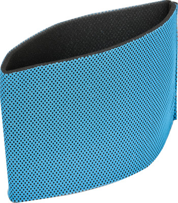 Фильтр для пылесоса Evolution DW30CT