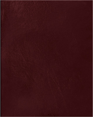 Тетрадь BG Т4бв96кЭ_12344 (96л, бордовый)