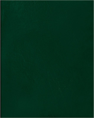 Тетрадь BG Т4бв96к_12339 (96л, зеленый)