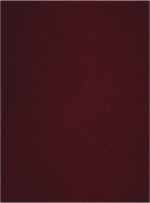 Тетрадь BG Т4бв80к_12325 (80л, бордовый)